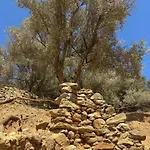 Xanthos Villa